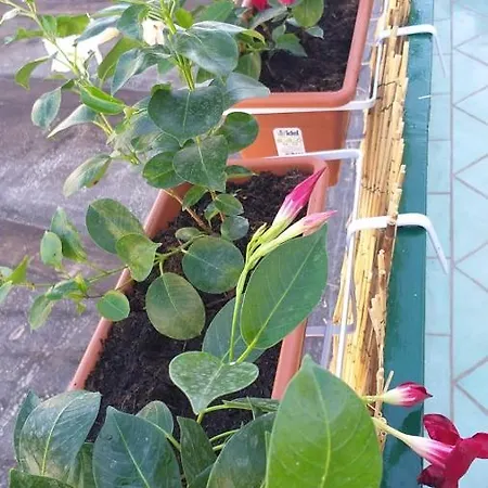 Del Sole Appartement